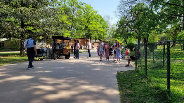 proletna-idila-vo-gradski-park-piknik-na-treva-proshetka-so-milenicite-foto-25.jpg