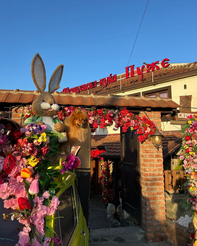 restoran-vo-sveti-nikole-e-vistinska-veligdenska-bajka-so-zajchinja-i-mnogu-shareno-cvekje-foto-video-08.jpg