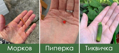 smeshna-foto-kompilacija-neuspeshni-obidi-za-gradinarstvo-povekje.jpg