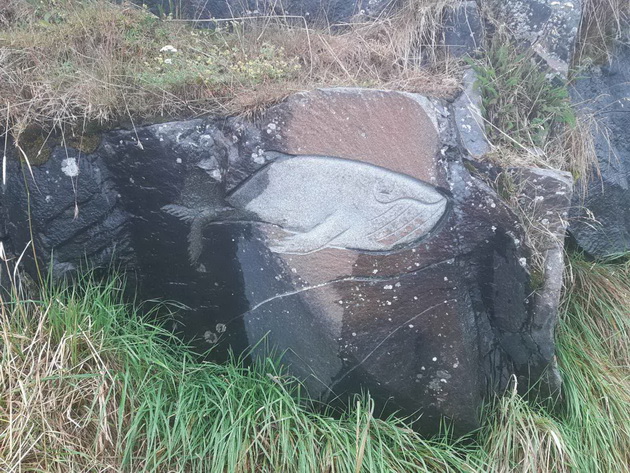 aneta-za-posetata-na-grenland-vo-avgust-temperaturite-se-od-10-do-12-stepeni-od-eden-do-drug-grad-se-patuva-so-brod-27.jpg