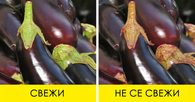kulinarski-tajni-za-od-oko-da-gi-izberete-najsvezhite-proizvodi-za-vashite-specijaliteti-01.jpg