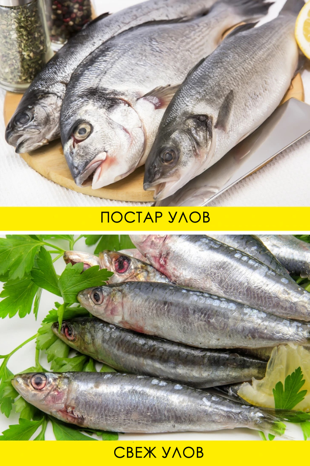 kulinarski-tajni-za-od-oko-da-gi-izberete-najsvezhite-proizvodi-za-vashite-specijaliteti-02.jpg