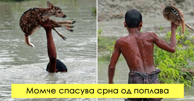 15-foto-dokazi-deka-se-ushte-postoi-dobrina-vo-svetot-01.jpg