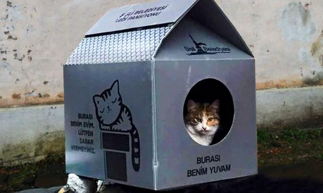 15-foto-dokazi-deka-se-ushte-postoi-dobrina-vo-svetot-05.jpg