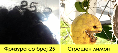 neverojatni-koincidencii-koi-mora-da-gi-poglednete-dvapati-za-da-bidete-sigurni-deka-se-realni-foto-poveke-01.jpg