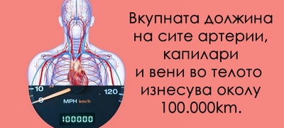 8-nauchni-fakti-koi-zvuchat-kako-izmisleni-povekje.jpg