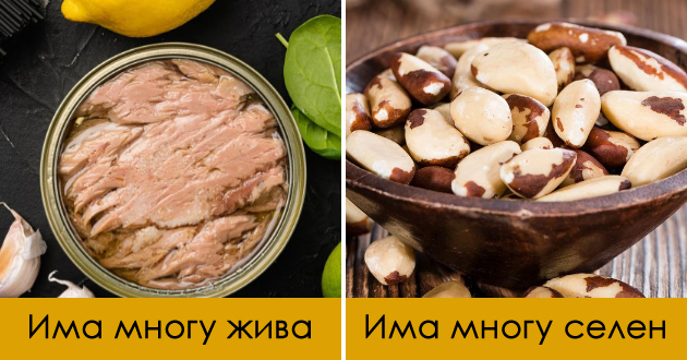 8-zdravi-namirnici-so-koi-mora-da-bidete-umereni-nekoi-predizvikuvaat-truenje-01.jpg