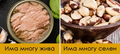 8-zdravi-namirnici-so-koi-mora-da-bidete-umereni-nekoi-predizvikuvaat-truenje-povekje.jpg