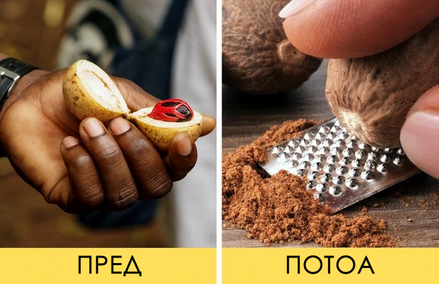 kako-izgledaat-produktite-shto-gi-koristime-sekojdnevno-pred-da-se-najdat-vo-prodavnica-04.jpg