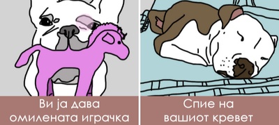 odnesuvanja-so-koi-kucheto-vi-kazhuva-deka-ve-saka-a-obichno-ne-gi-zabelezhuvate-povekje.jpg