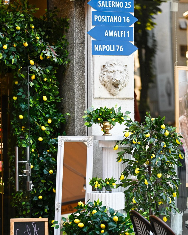 lokal-vo-skopje-so-shmek-na-amalfi-limoni-vesela-atmosfera-za-uzhivanje-i-top-instagram-fotki-video-02.jpg