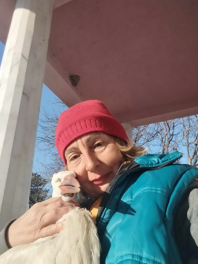 elena-od-gevgelisko-vdomi-ushte-eden-shtrk-deca-so-stapovi-go-tepale-morav-da-go-spasam-03.jpg