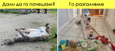 10-fotografii-koi-kje-vi-go-stopat-srceto-poveke-01.jpg