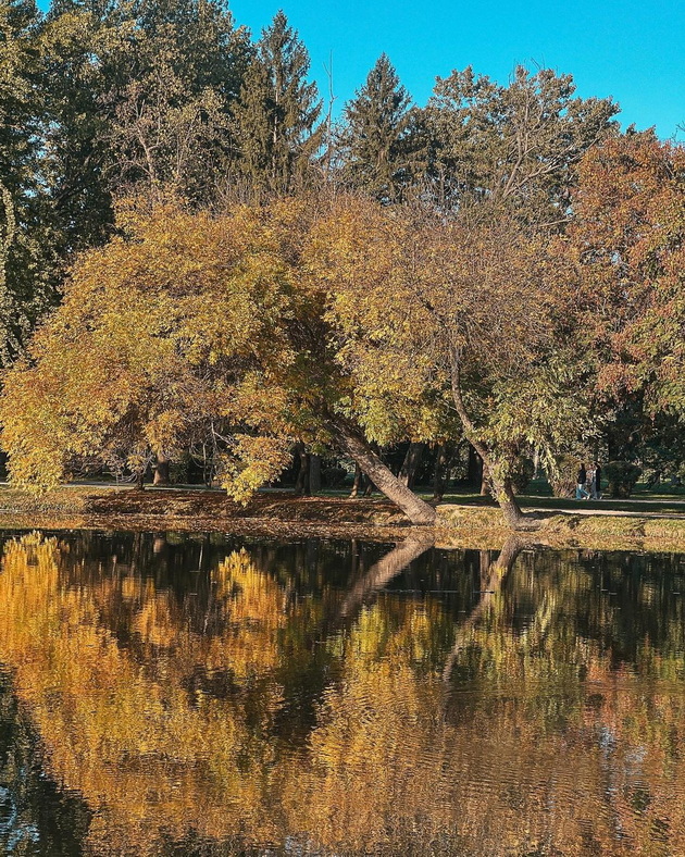 gradskiot-park-vo-skopje-ni-e-najubav-vo-esen-foto-06.jpg