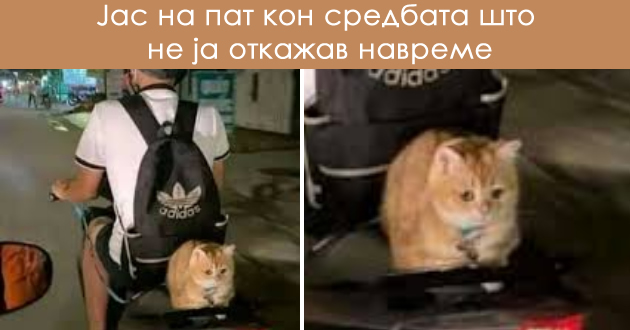 zabavni-meminja-vo-koi-kje-se-pronajdat-site-introverti-01.jpg