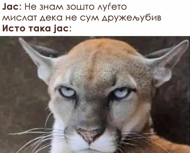 zabavni-meminja-vo-koi-kje-se-pronajdat-site-introverti-02.jpg
