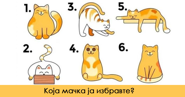 test-na-lichnosta-dali-ste-lider-timski-igrach-ili-dobar-rabotnik-02.jpg