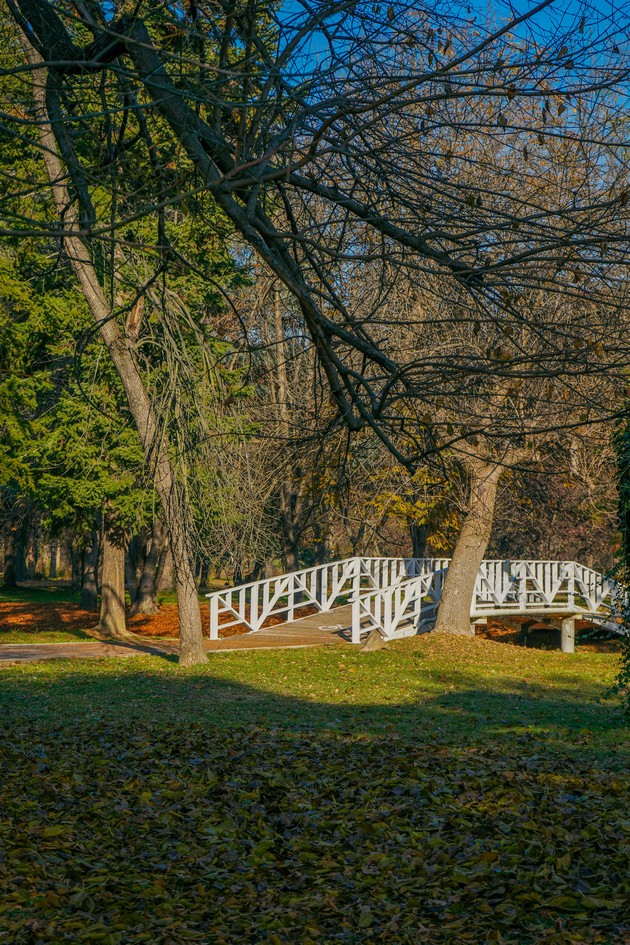 vozobnoveni-19-mostovi-vo-gradski-park-i-renoviran-halk-kornerot-vo-leptokarija-03.JPG