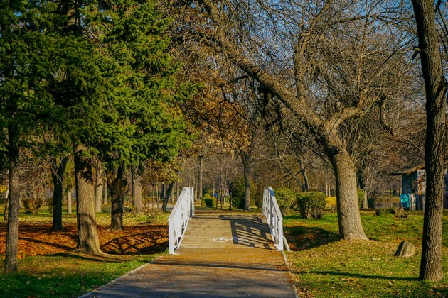 vozobnoveni-19-mostovi-vo-gradski-park-i-renoviran-halk-kornerot-vo-leptokarija-06.JPG