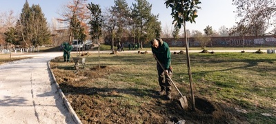 doma-e-poubavo-so-noviot-magnolija-park-donirani-80-zreli-sadnici-vo-gradskiot-park-povekje.jpg