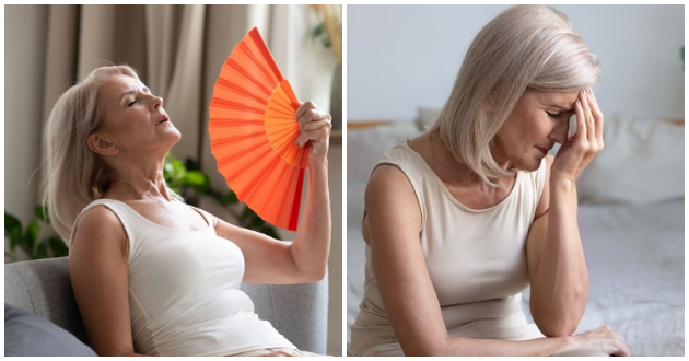 6-raboti-za-menopauza-shto-sekoja-zhena-nad-30-treba-da-gi-znae-spored-ginekolog-02.jpg