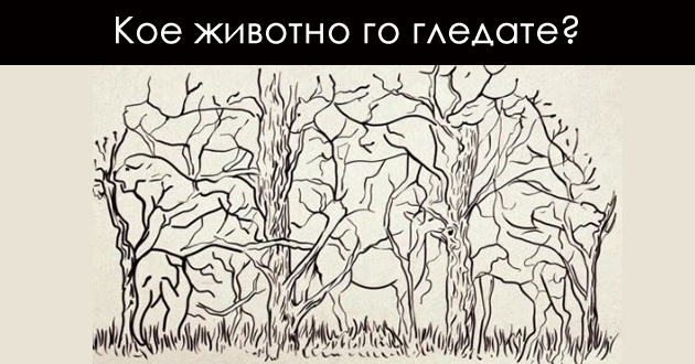 sakam-moite-deca-da-vidat-tatko-koj-dlaboko-ja-saka-nivnata-majka-01_copy.jpg