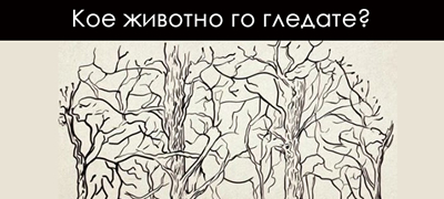 zhivotnoto-koe-kje-go-vidite-prvo-na-ilustracijata-zboruva-za-vashiot-karakter-01povekje.jpg
