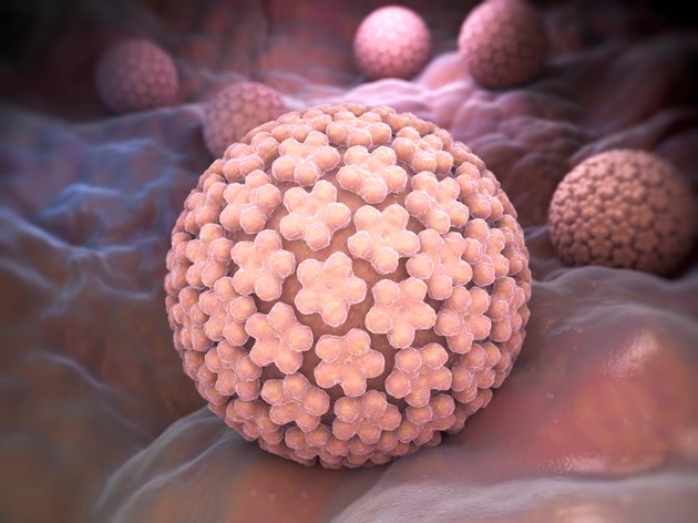 prof-d-r-vasil-iliev-hpv-virusot-obichno-nema-simptomi-najefikasna-prevencija-e-vakcina-treba-da-se-vakciniraat-i-momchinja-04.JPG