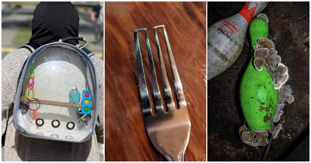 chips-so-kosa-telefon-pod-tavan-raboti-koi-nikogash-ne-bi-pomislile-deka-se-vozmozhni-01.jpg