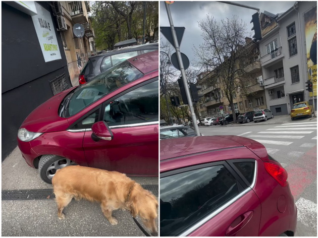 edina-musa-povtorno-za-makite-so-turkanje-bebeshka-kolichka-vo-skopje-eve-gospodinot-kade-se-parkiral-03.jpg
