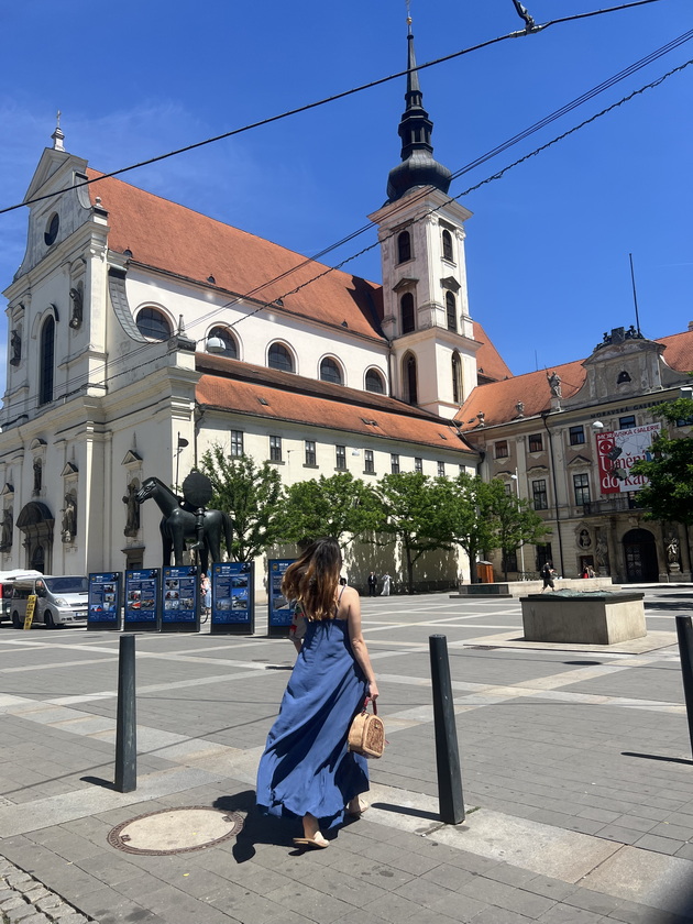 iskra-za-zhivotot-vo-brno-ako-dojdenec-stapi-vo-brak-so-cheh-doagja-ljubovna-policija-chesite-mrazat-pozdrav-so-gushkanje-06.jpeg