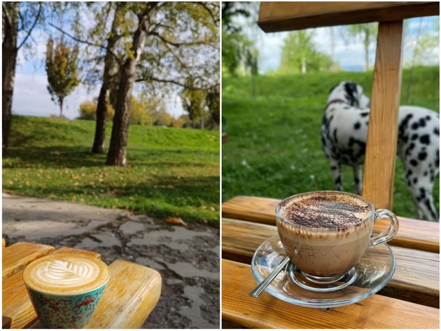 lokal-vo-karposh-4-kade-mozhete-da-ispiete-labavo-kafe-vo-trevnik-so-hamoci-i-pet-frendli-06.jpg
