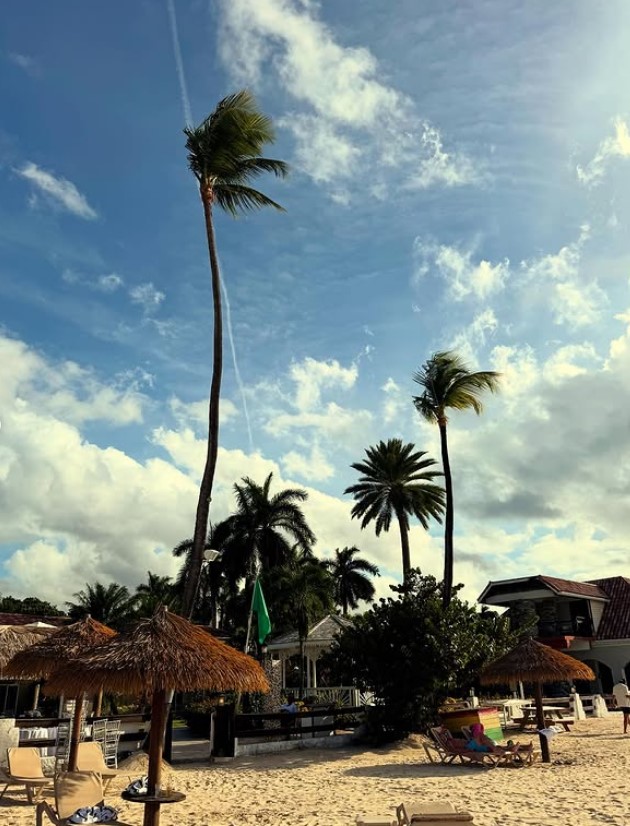 none-nedelkovska-so-nova-doza-fotki-od-rajot-na-zemjata-barbados-vo-minimalistichki-crni-bikini-04.jpg