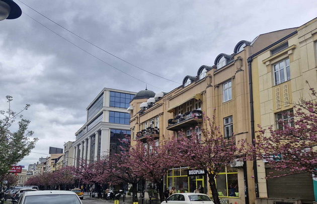 rozova-bajka-rascvetaa-japonskite-creshi-vo-gradskiot-park-vo-skopje-foto-001.jpg