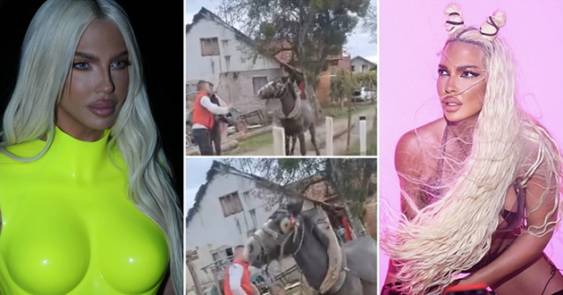 voznemiruvachkoto-video-so-maltretiranje-na-konj-koe-ja-potrese-jelena-karleusha-i-celiot-region-dobi-policiska-razreshnica-01.jpg