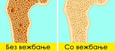 7-bolesti-shto-mozhete-da-gi-sprechite-so-vezhbanje-duri-i-ako-ste-povozrasni-povekje.jpg