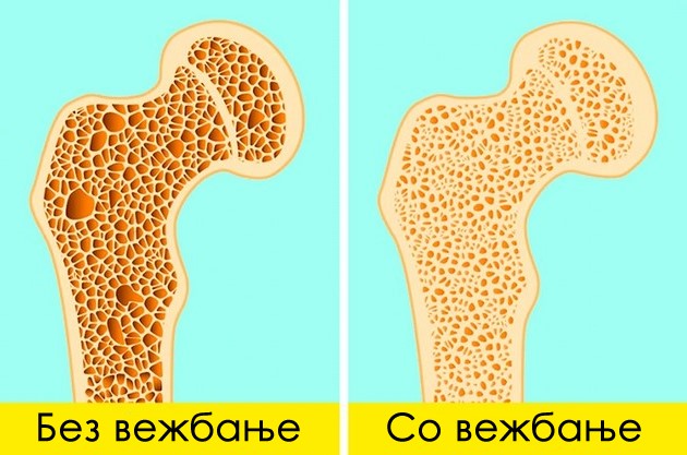 7-bolesti-shto-mozhete-da-gi-sprechite-so-vezhbanje-duri-i-ako-ste-povozrasni006.jpg