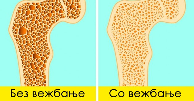 7-bolesti-shto-mozhete-da-gi-sprechite-so-vezhbanje-duri-i-ako-ste-povozrasni01.jpg