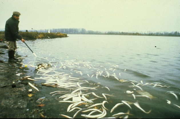 toksichen-gas-vo-vozduhot-pesticidi-vo-vodite-najgolemite-ekoloshki-katastrofi-vo-istorijata-11.JPG