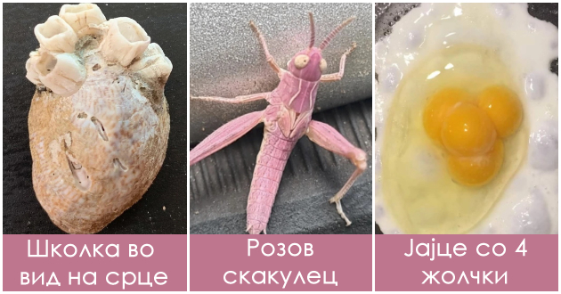 16-pati-koga-univerzumot-ni-pokazha-deka-negovata-mokj-za-kreiranje-nema-granici-01.jpg
