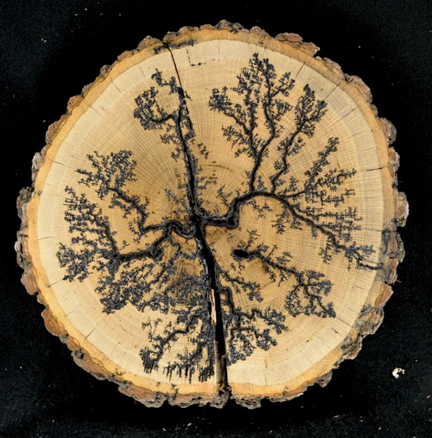 16-pati-koga-univerzumot-ni-pokazha-deka-negovata-mokj-za-kreiranje-nema-granici-12.jpg