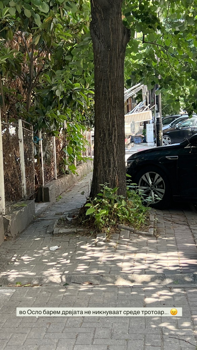 makedonka-koja-zhivee-vo-oslo-se-pozhali-za-skopje-srekjna-sum-shto-ne-gi-rastam-decata-tuka-ima-nebezbedni-igralishta-te-gledaat-chudno-ako-doish-06.jpg