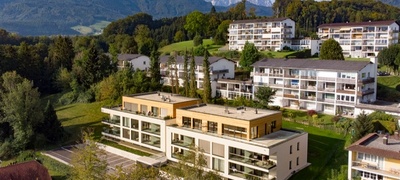 balfin-austria-100-milioni-evra-povekje.jpg
