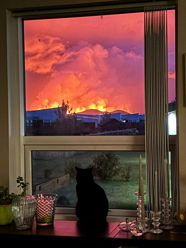 napraveni-vo-vistinski-mig-fotki-koi-izgledaat-kako-da-se-fotoshopirani-09.JPG