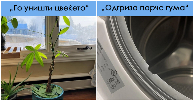 11-foto-dokazi-deka-so-nekoi-deca-ne-znaete-dali-da-se-smeete-ili-da-plachete-01.jpg