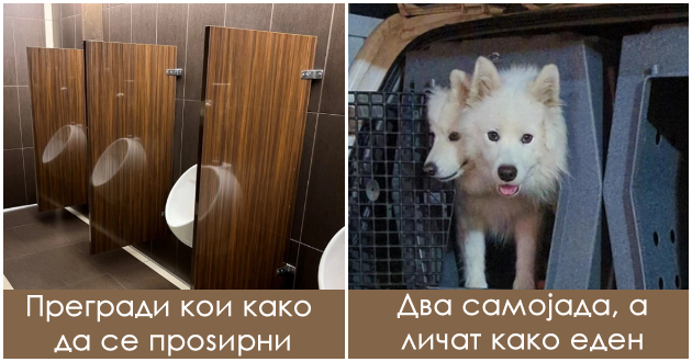 16-pati-koga-fotografii-pokazhuvaat-iluzija-koja-e-mnogu-poinakva-od-realnosta-01.jpg