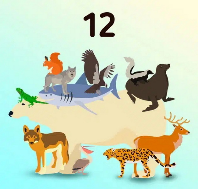 vizuelen-predizvik-kolku-zhivotni-ima-na-ilustracijata-03.jpg