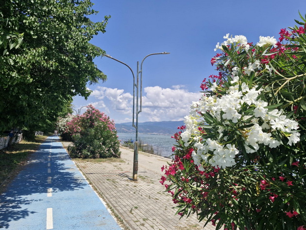 atmosferata-vo-dojran-vo-juni-2025-polni-plazhi-mnogu-kapachi-vo-ezeroto-i-pristapni-ceni-neskafe-100-denari-pivo-120-04.jpg