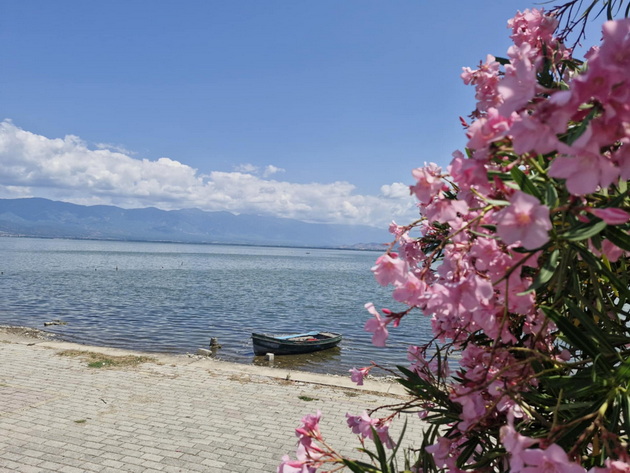 atmosferata-vo-dojran-vo-juni-2025-polni-plazhi-mnogu-kapachi-vo-ezeroto-i-pristapni-ceni-neskafe-100-denari-pivo-120-10.jpg