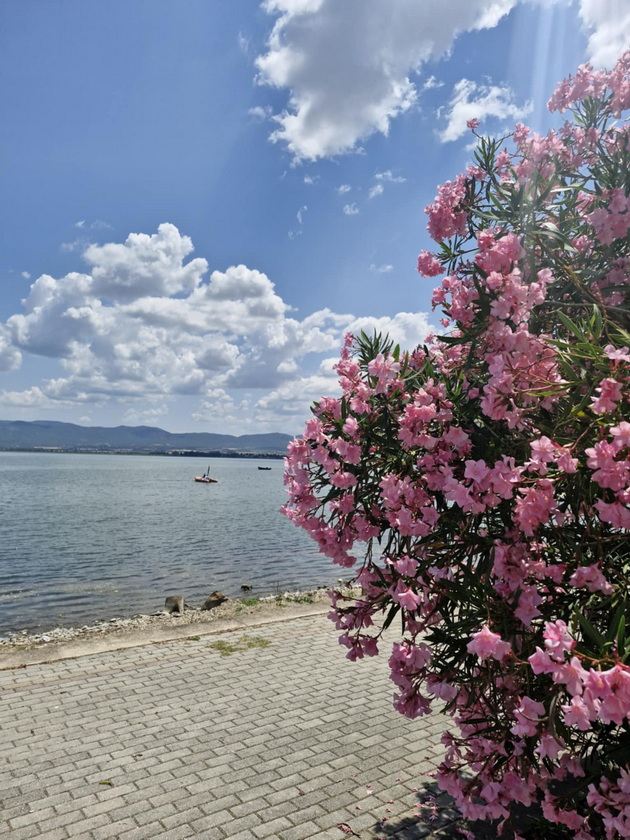 atmosferata-vo-dojran-vo-juni-2025-polni-plazhi-mnogu-kapachi-vo-ezeroto-i-pristapni-ceni-neskafe-100-denari-pivo-120-11.jpg